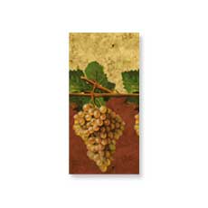 Vineyard Tablecover