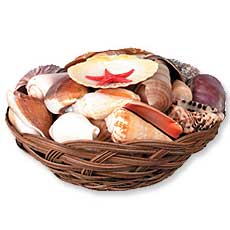 Seashell Basket (40-45)