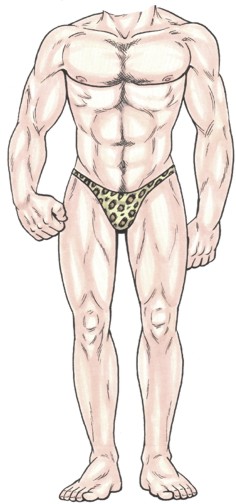 Bathing Suit Male Cutout