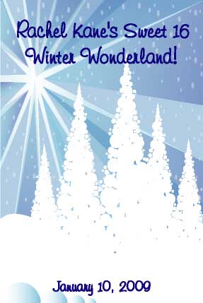 Winter Wonderland Sign In Board