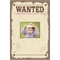 Western Wanted Poster Sign In Board