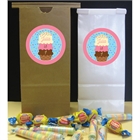 Ice Cream Theme Party Favor Bags