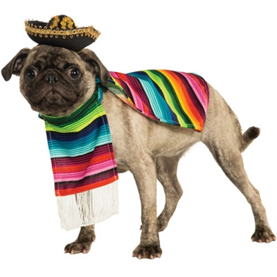 Mexican Poncho And Sombrero Pet Costume