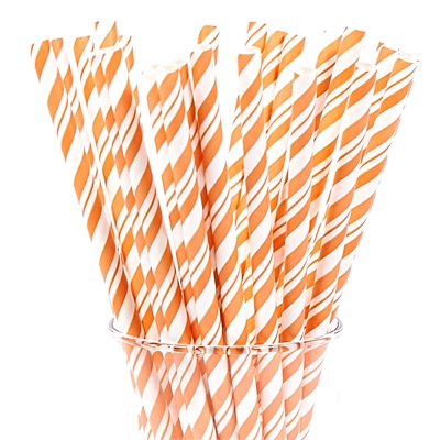 Orange and White Striped Paper Straws (24)