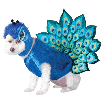 Peacock Pet Costume