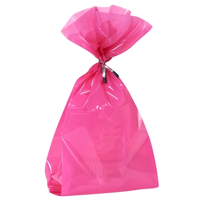 Hot Pink Treat Bags (20)