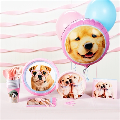 Glamour Dogs Basic Party Pack