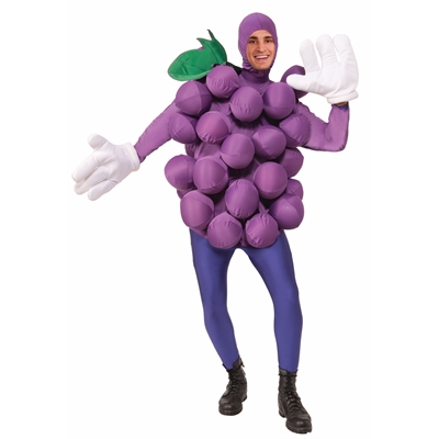 Purple Grapes Adult Costume One-Size