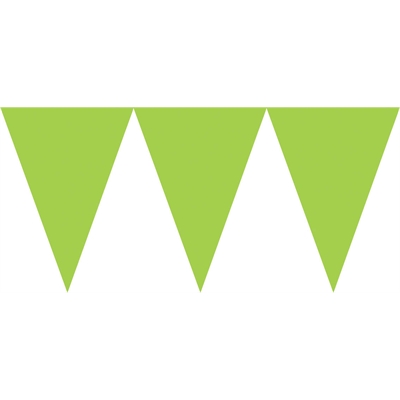 Lime Green Paper Pennant Banner