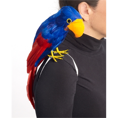 Parrot Accessory